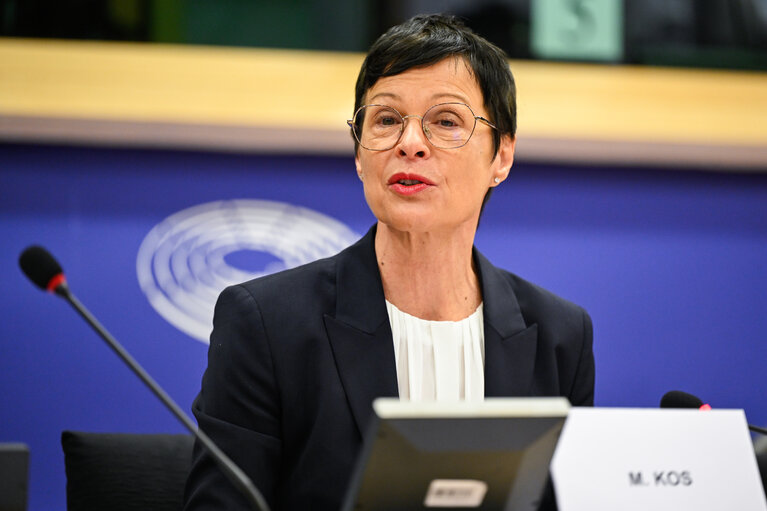 Photo 8: AFET - Exchange of views with Marta Kos, Commissioner for Enlargement